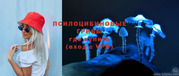 МДПВ Саяногорск
