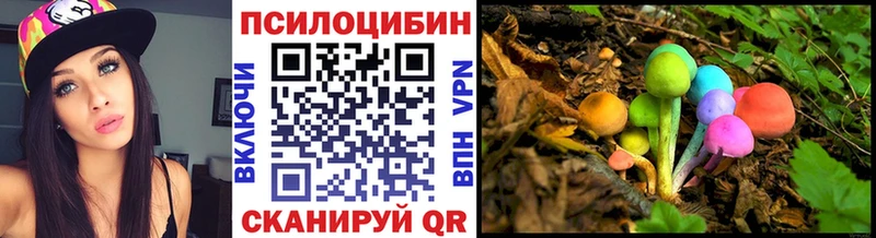 Псилоцибиновые грибы Psilocybine cubensis  Тихорецк 